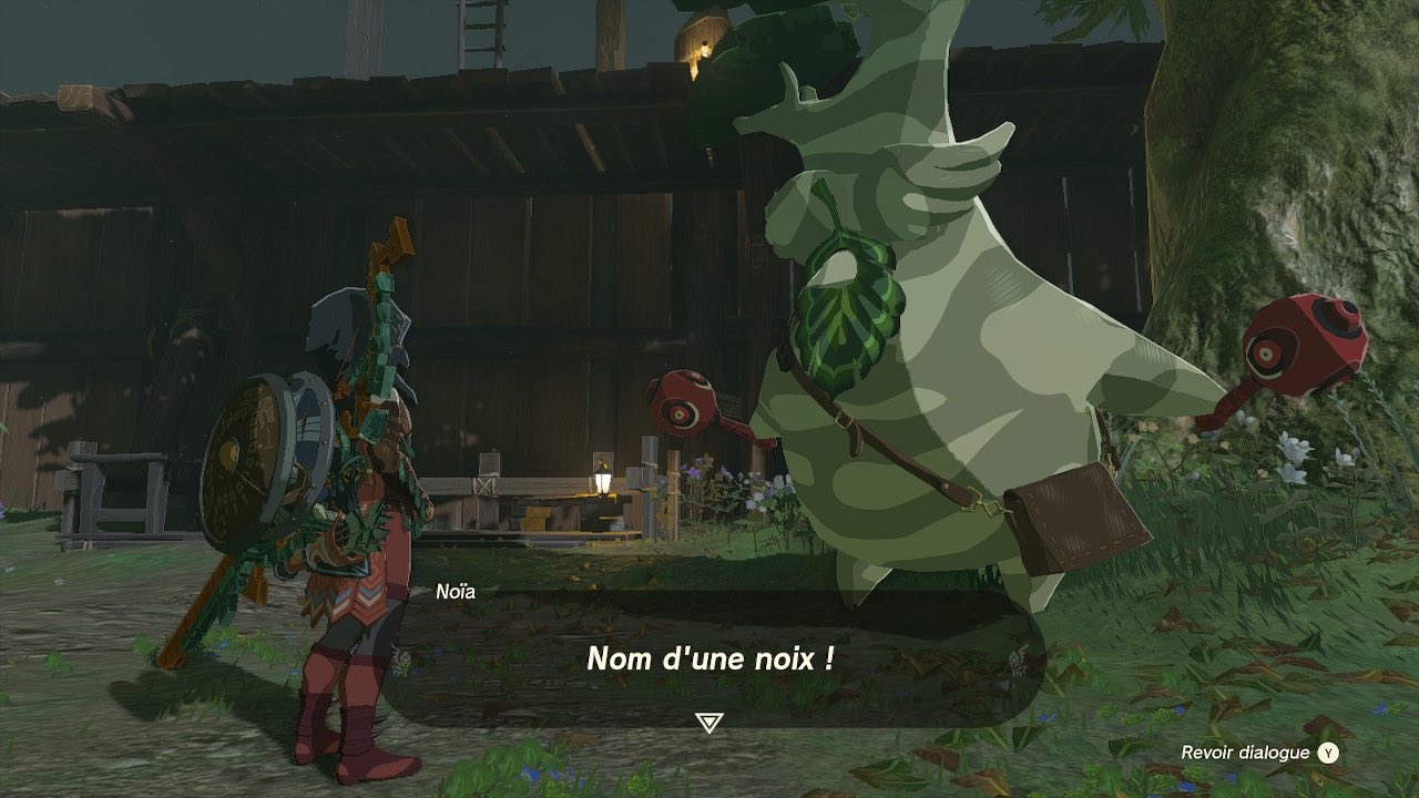 zelda-tears-of-the-kingdom-noia
