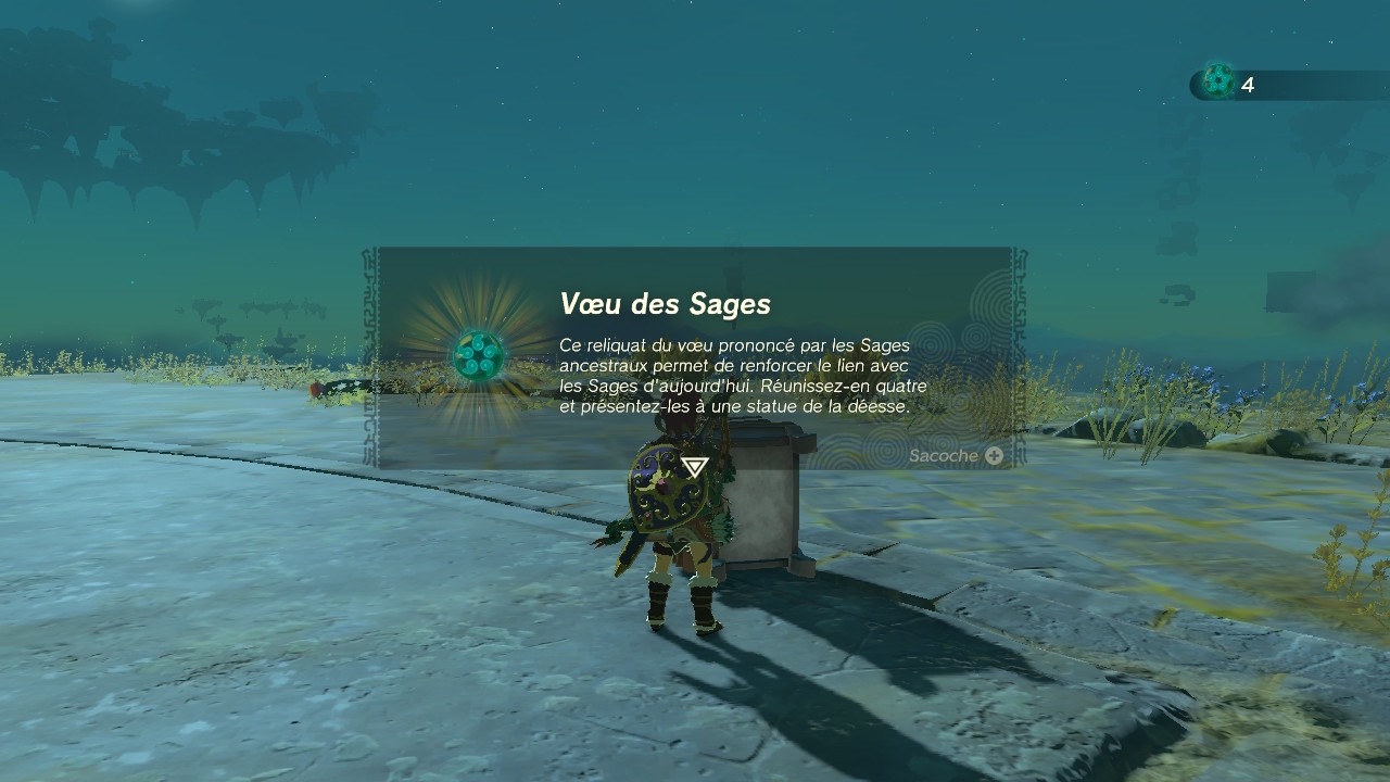 zelda-tears-of-the-kingdom-voeu-sage-description
