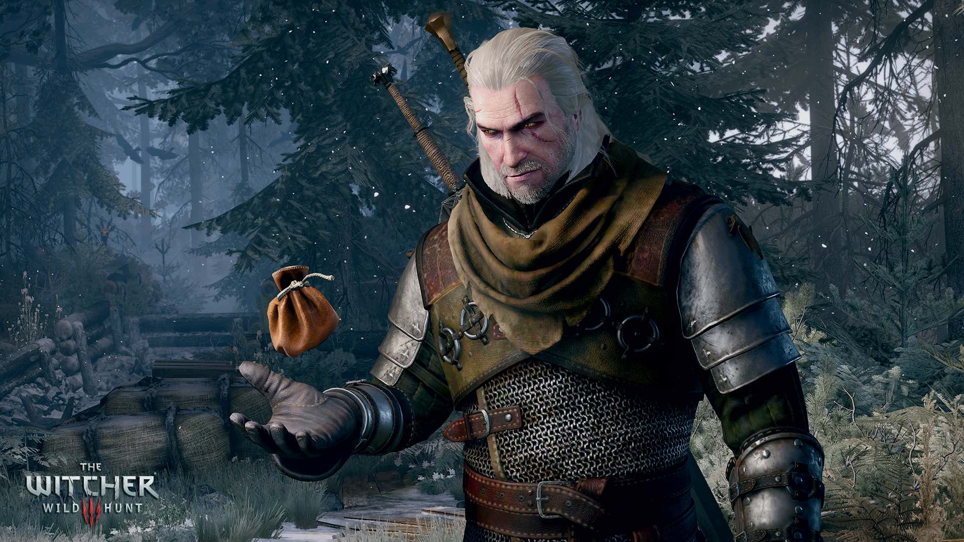the-witcher-3-wild-hunt-visuel