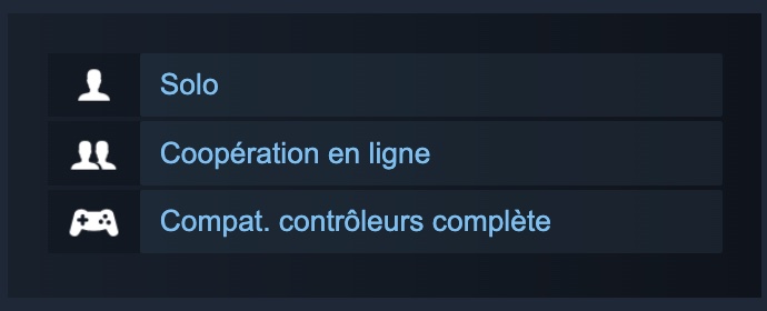 wizard-with-a-gun-information-steam-cooperation-en-ligne