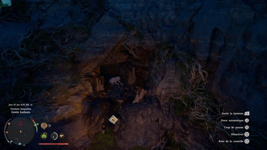 crimson-desert-croc-argent-grotte