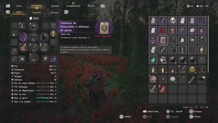 crimson-desert-phacochere-talisman
