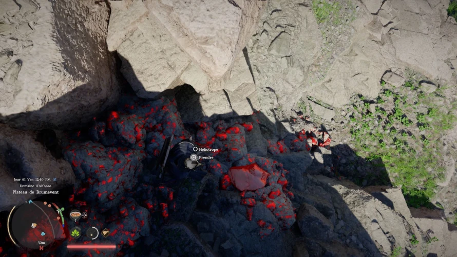 crimson-desert-heliotrope-minerai