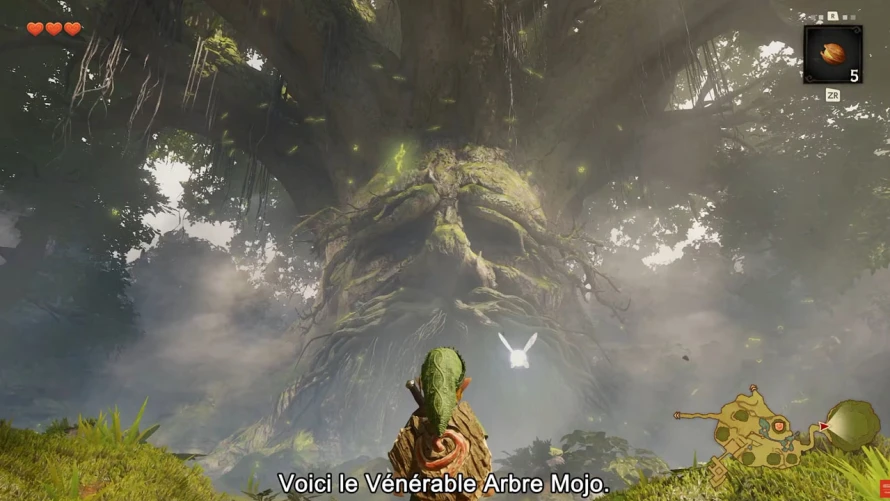 the-legend-of-zelda-ocarina-of-time-arbre-mojo