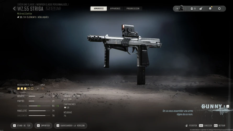 wz55-striga-build-mw4-2