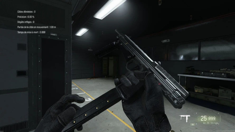 wz55-striga-build-mw4