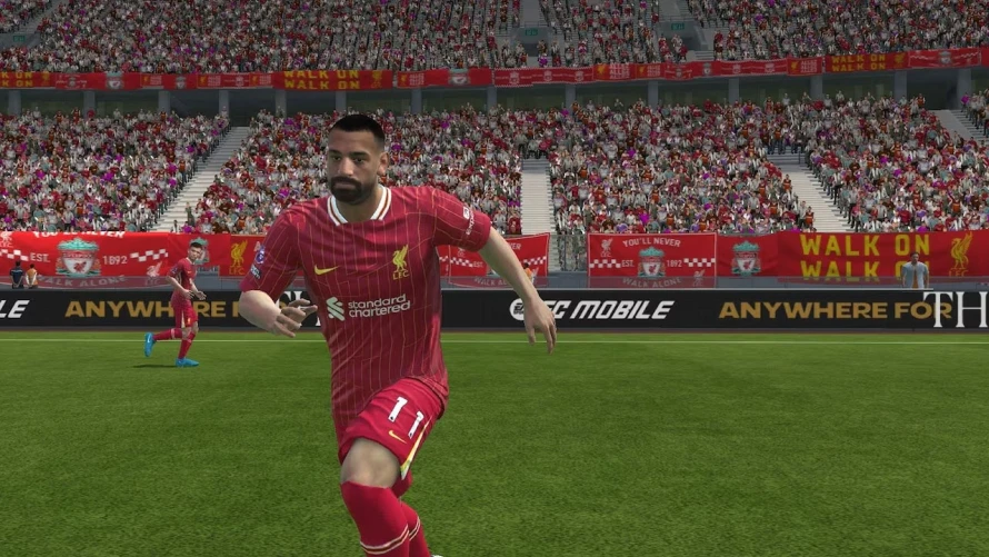 fcmobile2