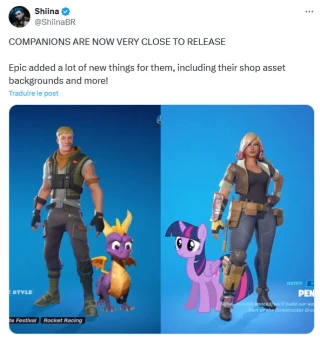 fortnite-compagnon
