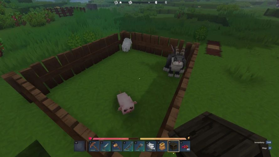 capture-animaux-hytale