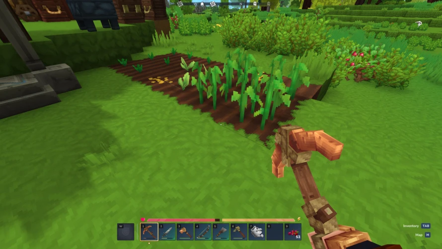 graines-eternelles-hytale-info