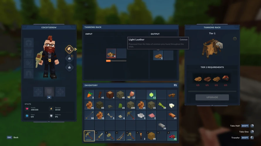 light-leather-hytale