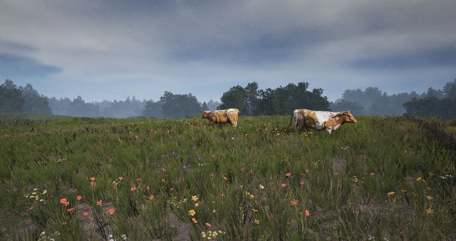 vache-manor-lords