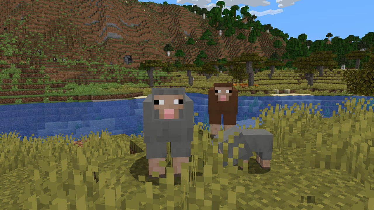 mouton-minecraft-laine