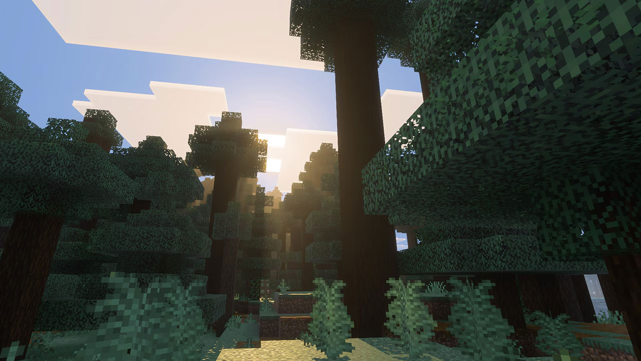 visuel-update