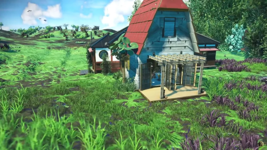 totoro-nms