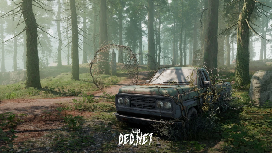 pubg-ded-net1