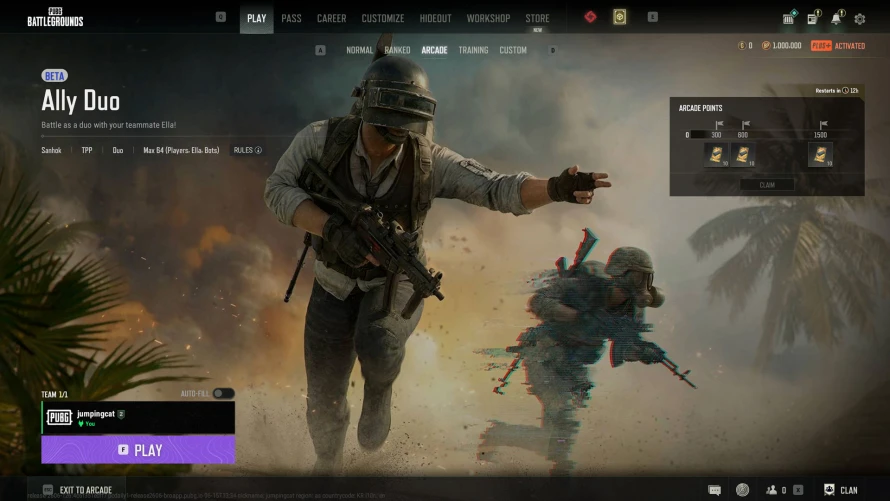 pubg-ally-duo-mode