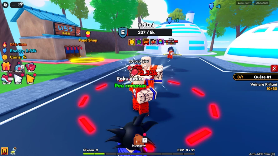 code-anim-eternal-roblox