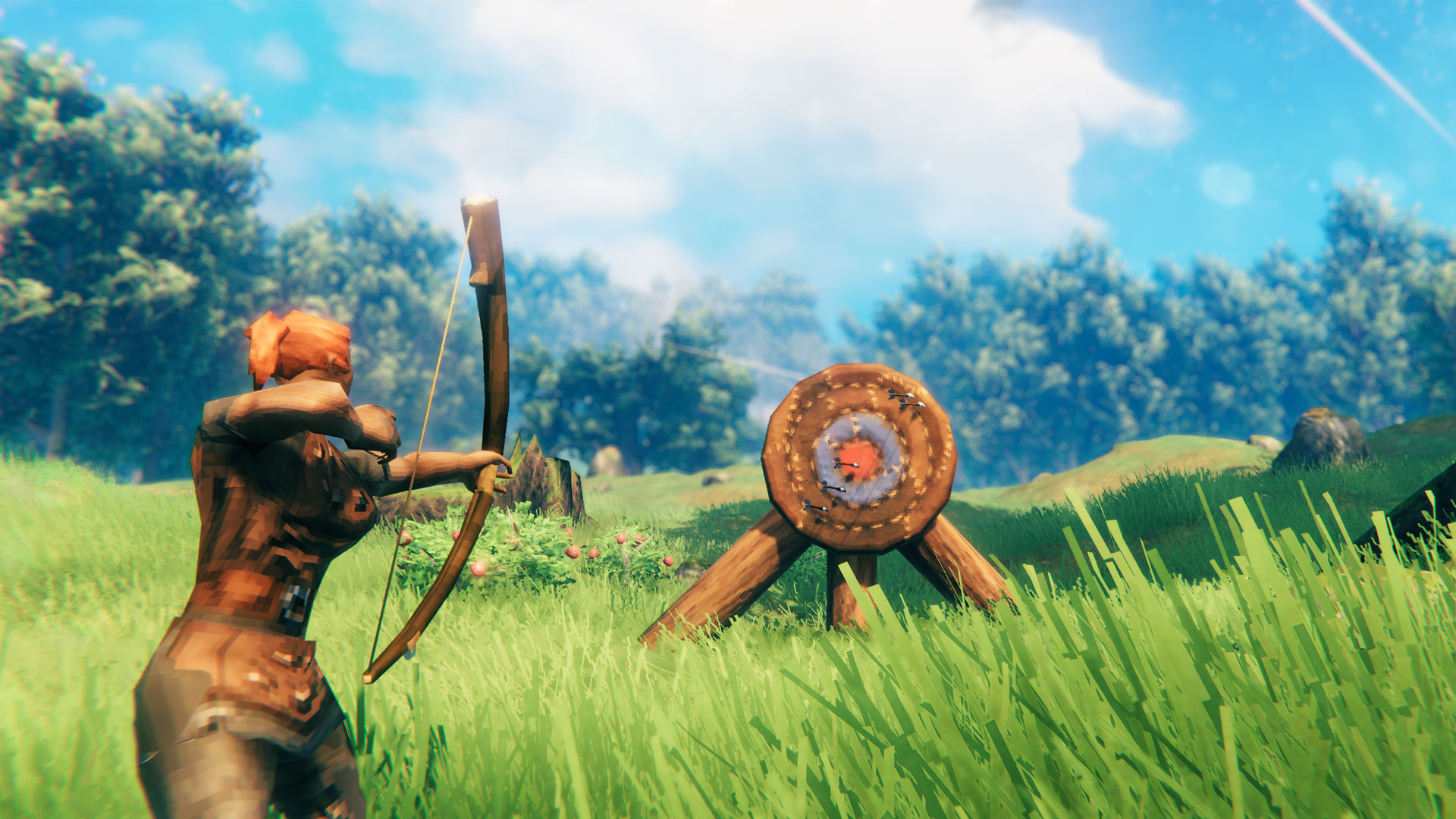 cible-valheim