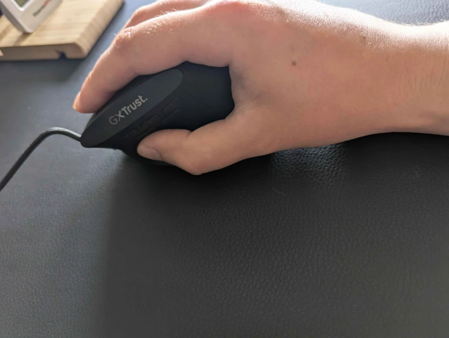 souris-truste-ergo