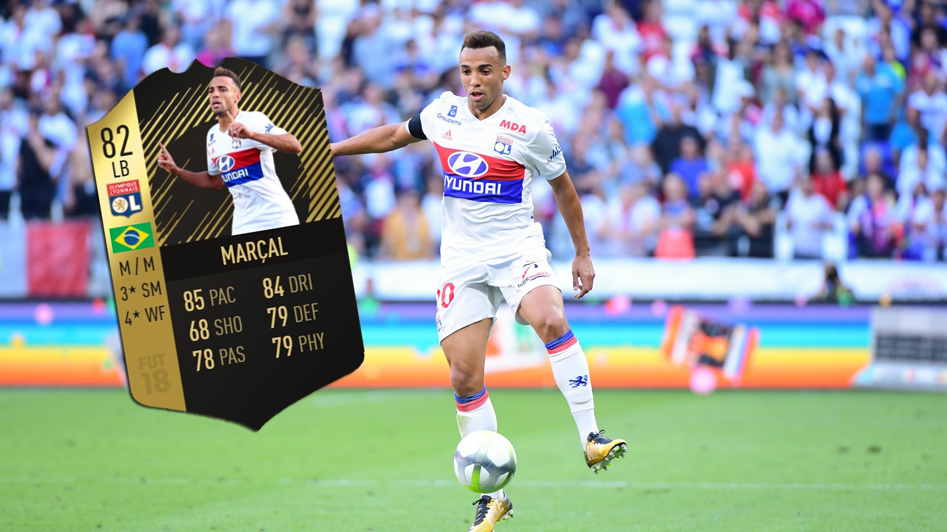 totw7marcal
