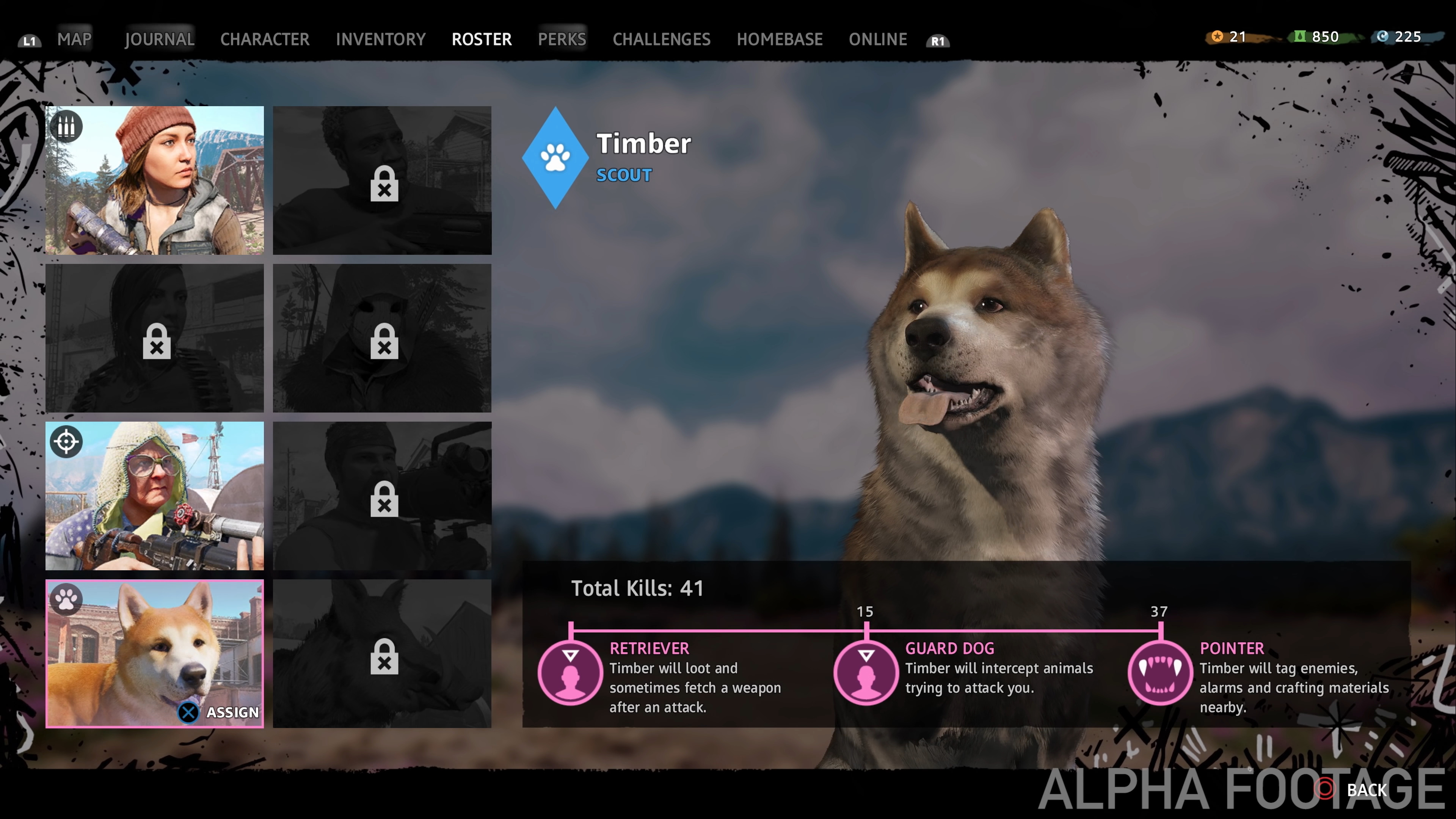 Timber