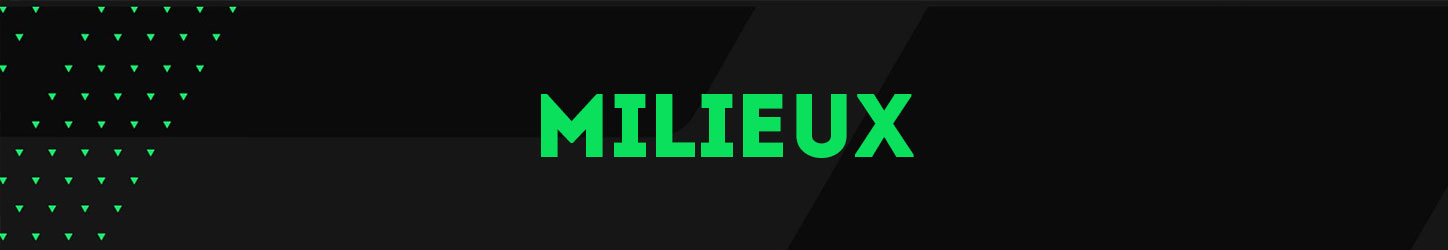 Milieux de terrain