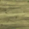 epicea