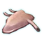 ventricule dragon