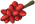 baneberry