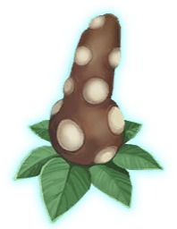 bubotuber-pus
