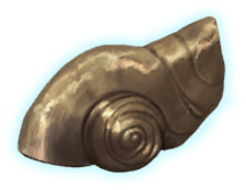 hermit-crab-shell