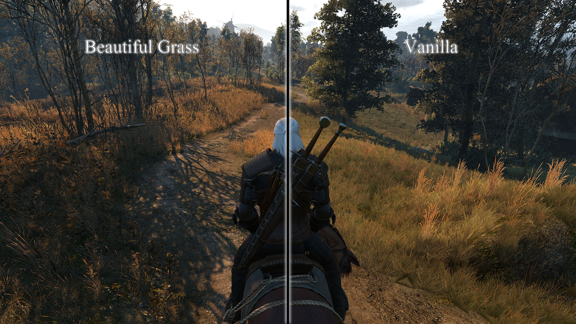 witchermodgrasss