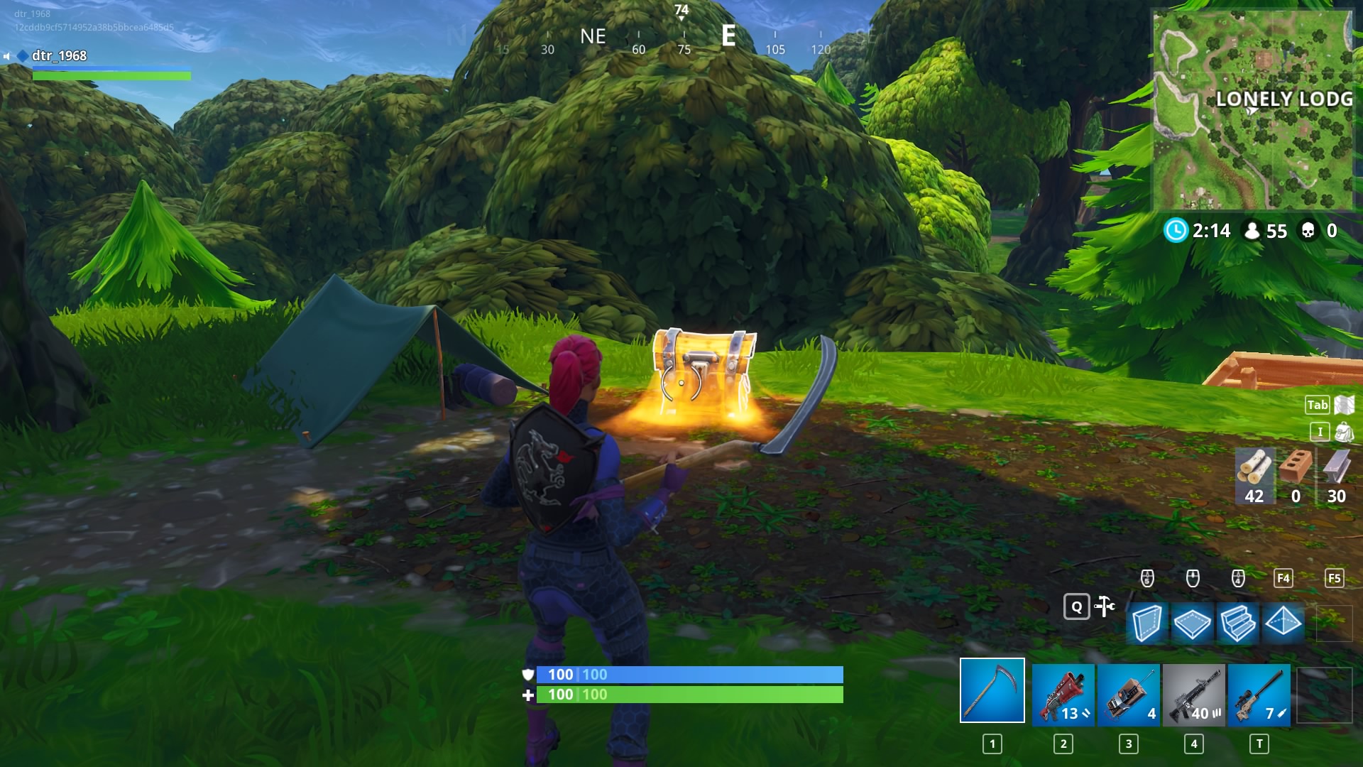 Fortnite_20180325011835