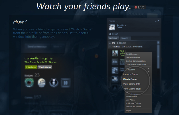 steam