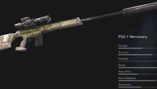 PSG 1 Mercenary