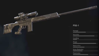 PSG 1