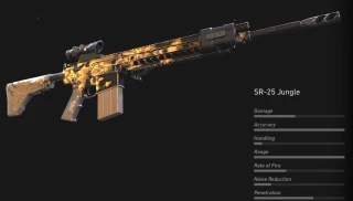 SR25 Jungle
