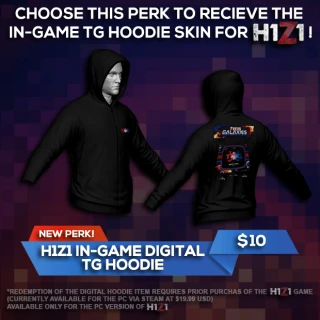 Twin galaxies