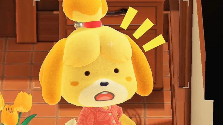 animal-crossing-gamecube-pc-une