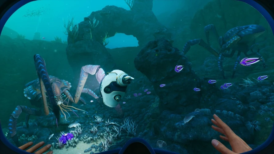 subnautica-2-vue