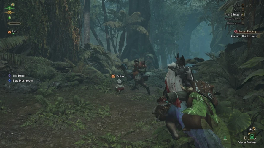 mhw-exploration