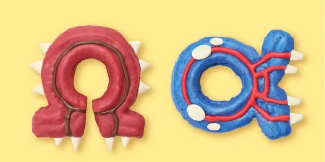 legendes-za-donuts-groudon-kyogre