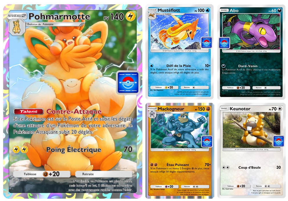 event-combat-pohmarmotte-cartes