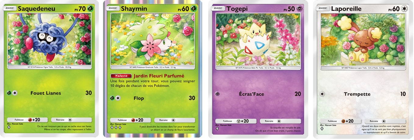 pp-mission-secrete-jardin-cartes