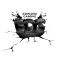 300px-EDG_logo_no_background