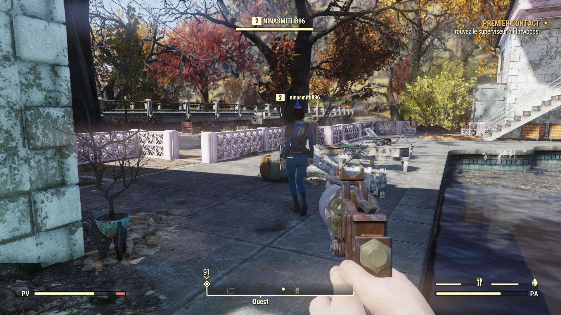 Fallout 76 5