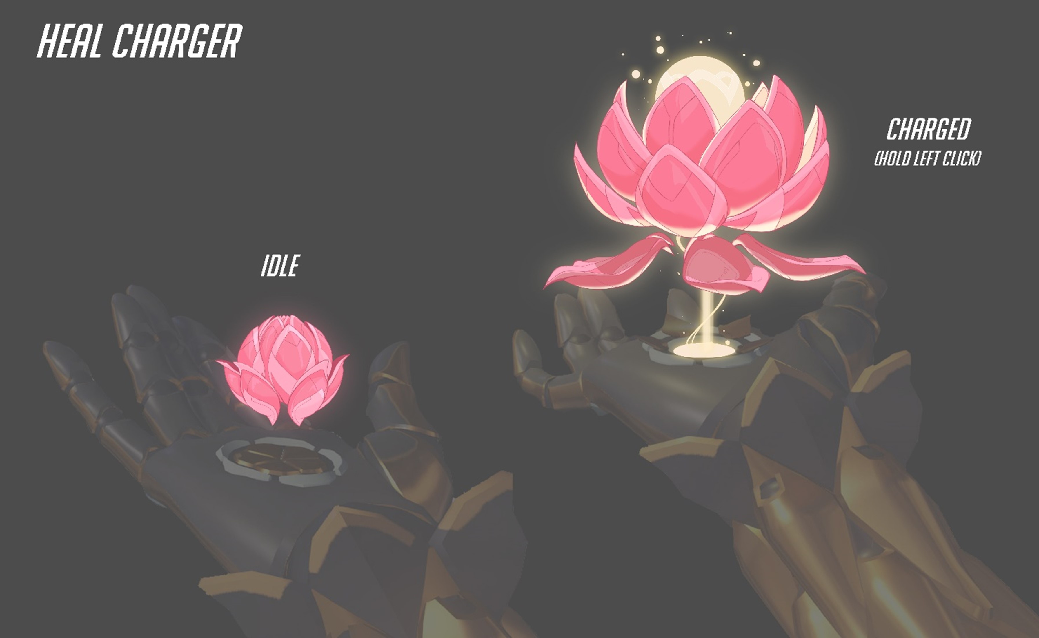 fleur-de-soins-vital-ow-2