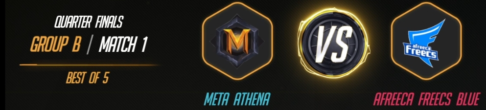 MetaVAfreecs