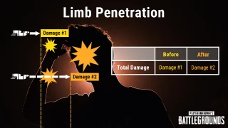 pubg graph